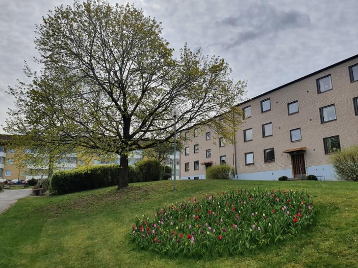 Bostad Norra Sjöbogatan Borås